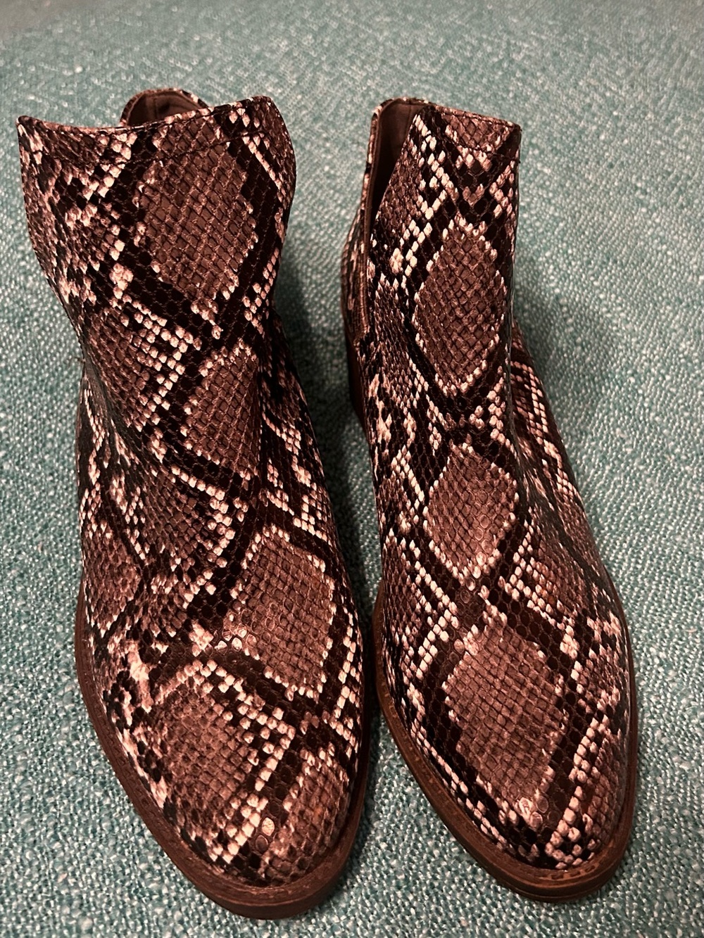 Volatile Snake Print Ankle Booties Women’s Size 7.5 Black Heeled Chelsea Boots